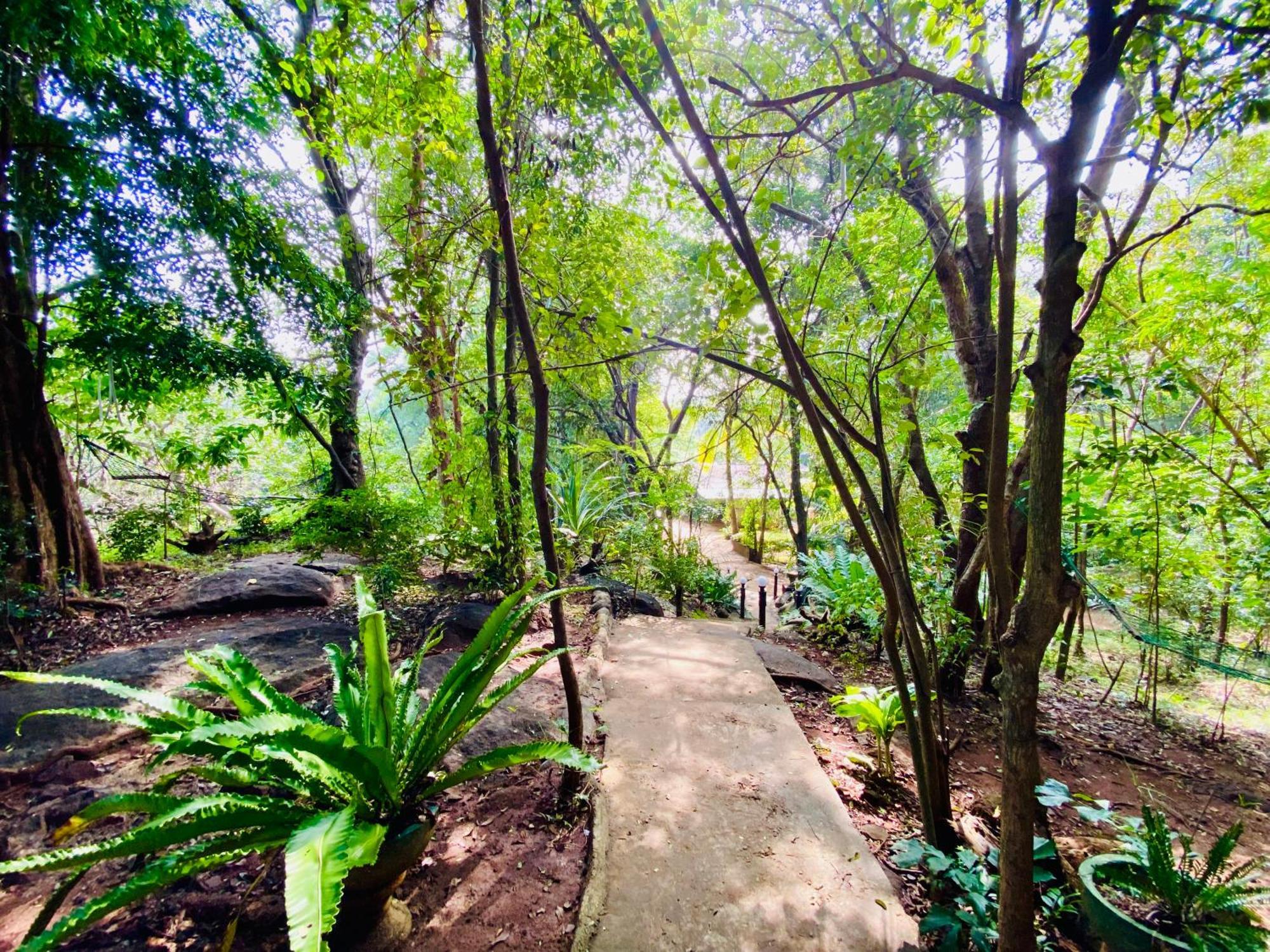 Green House Resort Сигирия Экстерьер фото